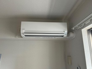 IMG_2205.jpeg