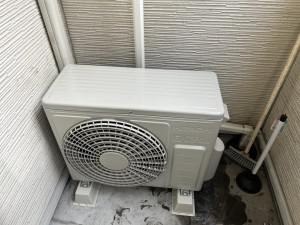 IMG_2208.jpeg